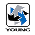 R. M. Young