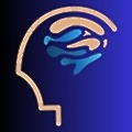 Aizen Consulting