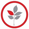 SalonBiz