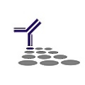 SouthernBiotech