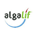 Algalif