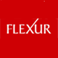 Flexur