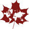 Maple Inc