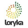 Loryka
