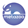 Metazoa