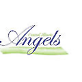 Central Illinois Angels