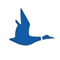 Blue Duck Scooters