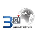 3Gi Internet Services