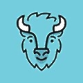 BISON
