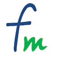 FinMechanics