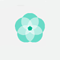 Camarillo Functional Health
