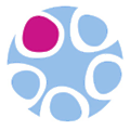 Holostem