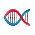 KnipBio
