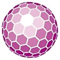 NanoBone