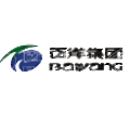 Baiyang Investment Group