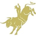 Ranchero Gold