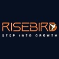 Risebird