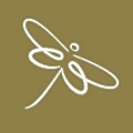 SOLASTA Bio