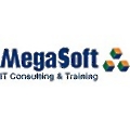 MegaSoft