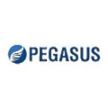 Pegasus Manufacturing
