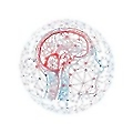 ElluminAI Labs