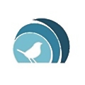 Sparrow