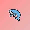 Big Whale Labs