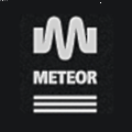 Meteor Plant