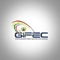 Ghana Investment Fund for Electronic Communications