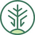 Living Carbon