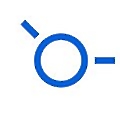 Synapta