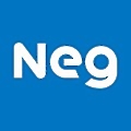 Nippon Electric Glass