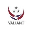 Valiant Global Defense Services