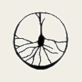 Cajal Neuroscience