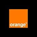 Orange Jordan