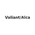 Valiant/Alca JV
