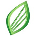 Linden Photonics