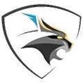 BlackLynx Services