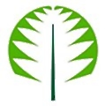 Adomex International