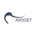 Avocet