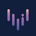 Vybit