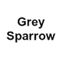 Grey Sparrow