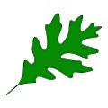 New Leaf