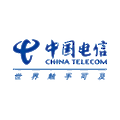 China Telecom Group