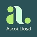 Ascot Lloyd