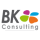 BK consulting France