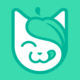 Catnip