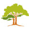 Green Canopy
