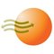 Southern Energy Management