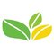 TheGreenOffice